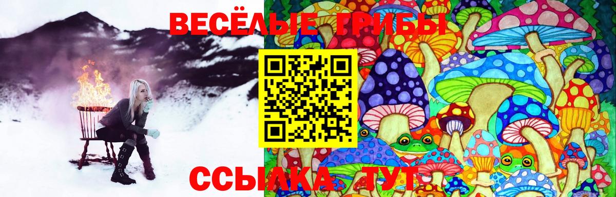 наркошоп  Галлюциногенные грибы Psilocybine cubensis  Вход с VPN  Галлюциногенные грибы GOLDEN TEACHER  Стрежевой 